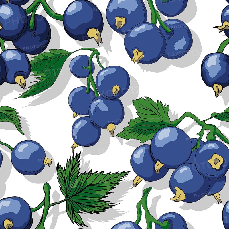 Jostaberries repeating pattern