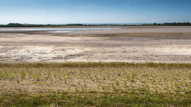 Heavily dried-up Zicksee