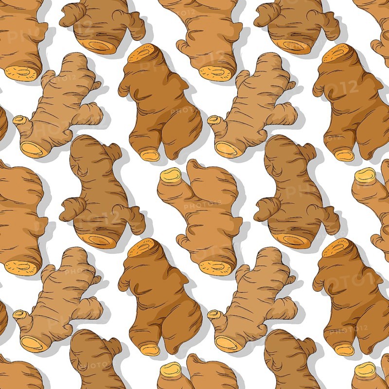 Turmeric roots repeating pattern