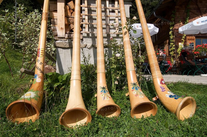 Alphorn blowers