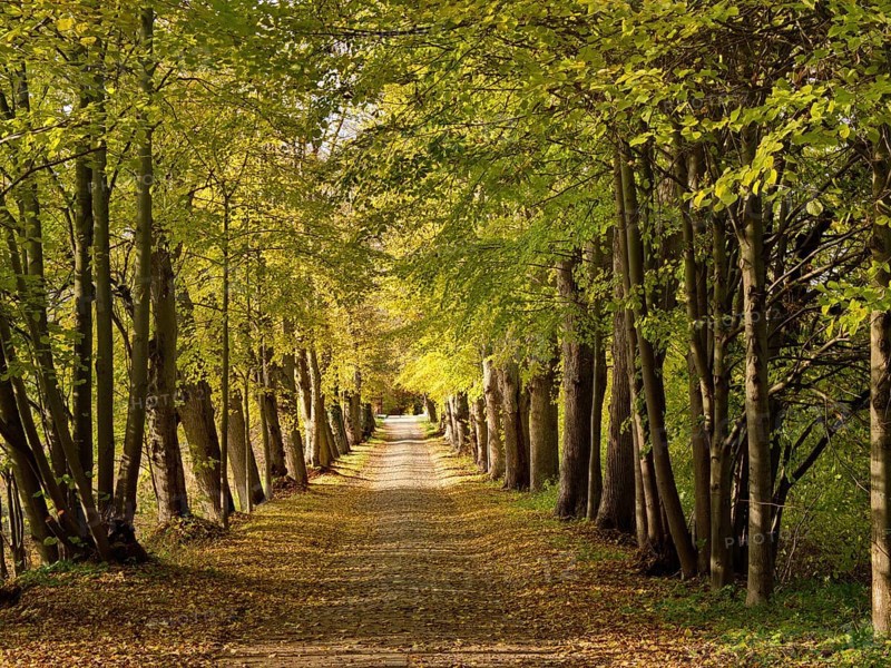 Klopstockweg