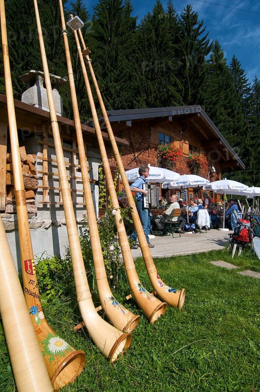 Alphorn blowers