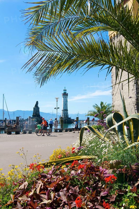 Harbor with Mangturm tower