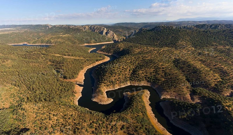 Dehesa