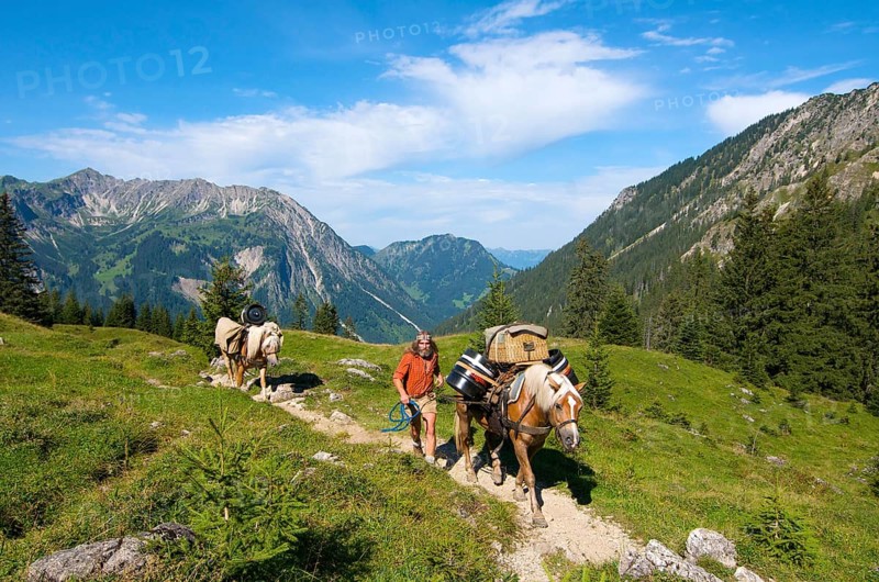 Supplying the Willersalpe with horses