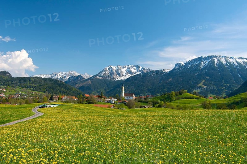 Flower meadow