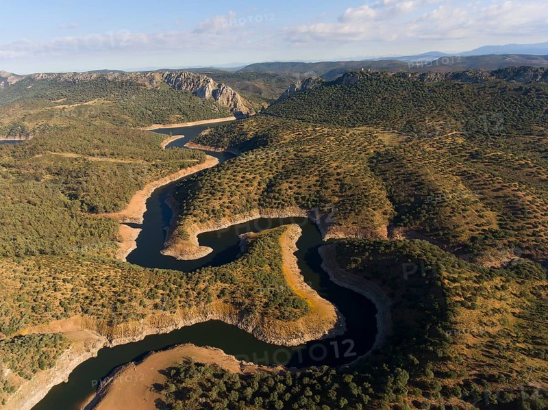 Dehesa