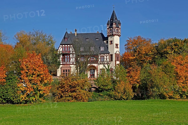 New Palace