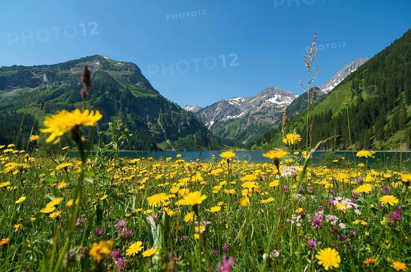 Vilsalpsee