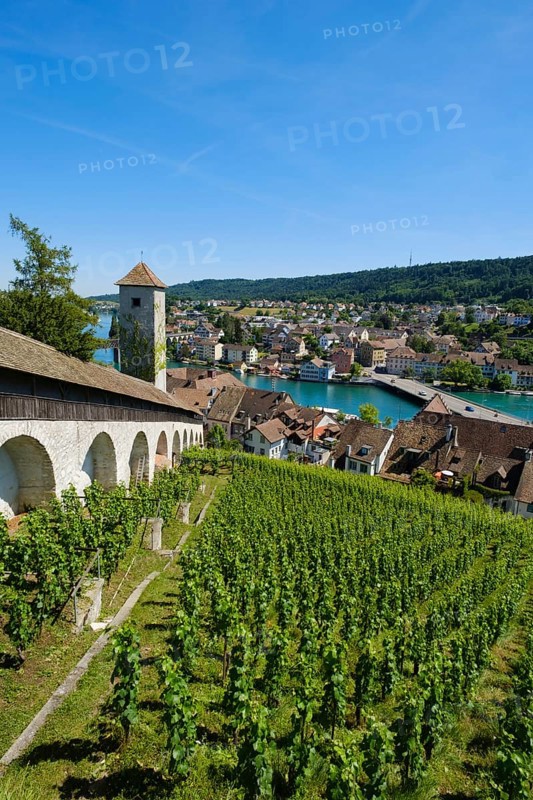 View of the Munot fortress and the town with the Rhine
