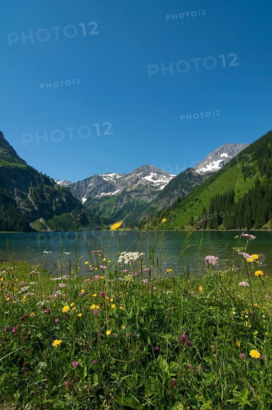 Vilsalpsee