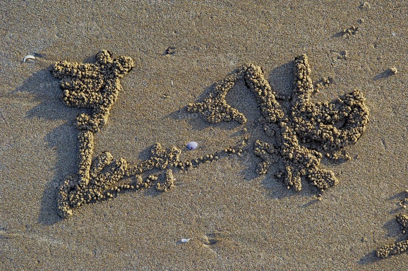 Sand spheres of the sand crab