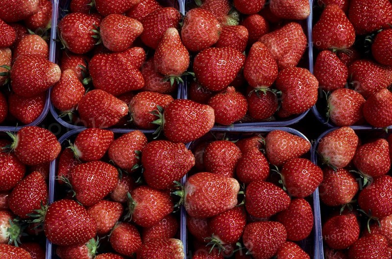 Garden strawberry