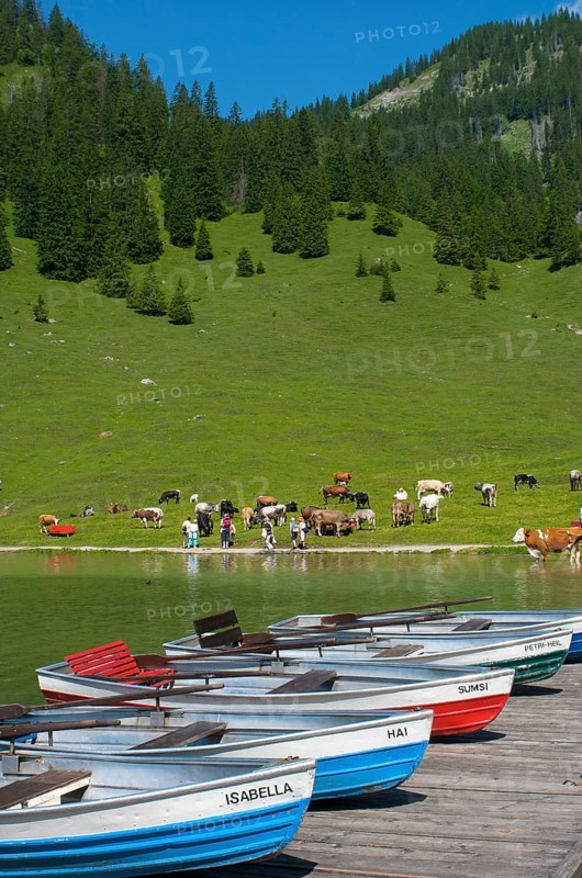 Vilsalpsee