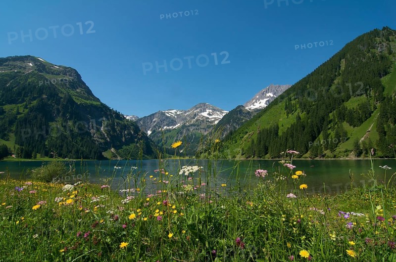 Vilsalpsee