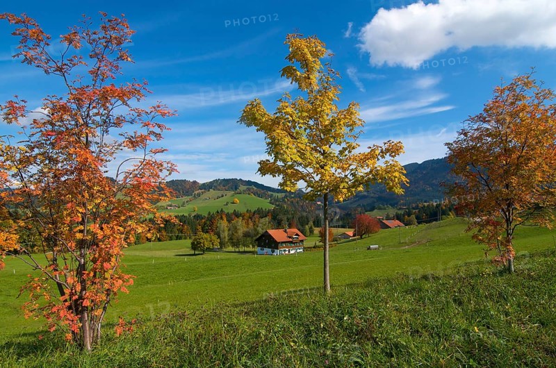 Farm near Oberstaufen