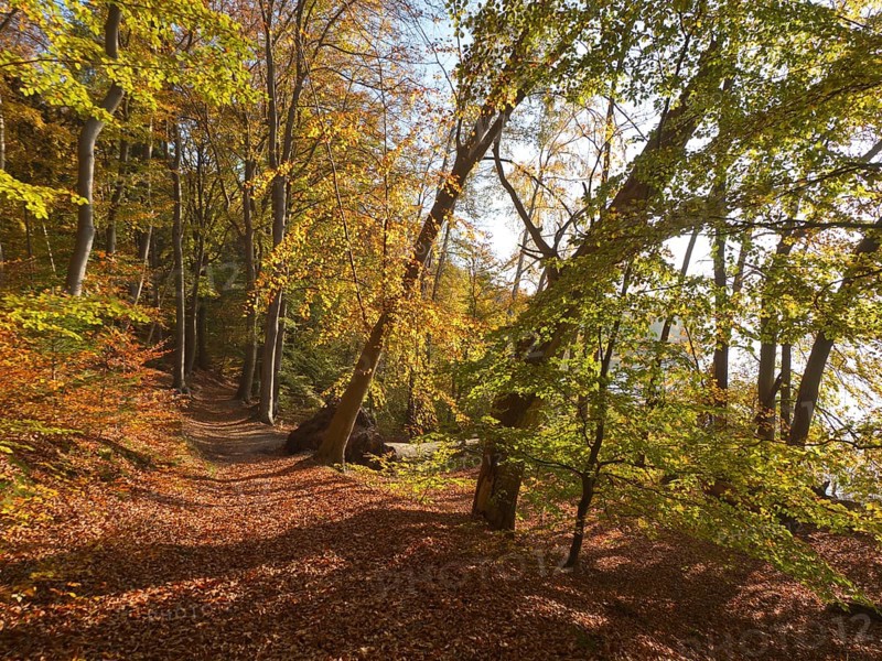 Autumn hiking trail on the Werder
