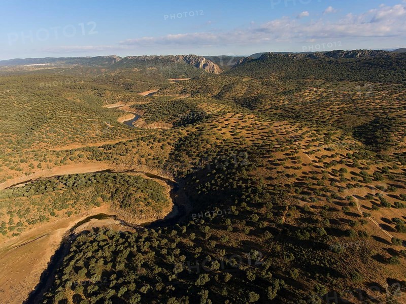 Dehesa