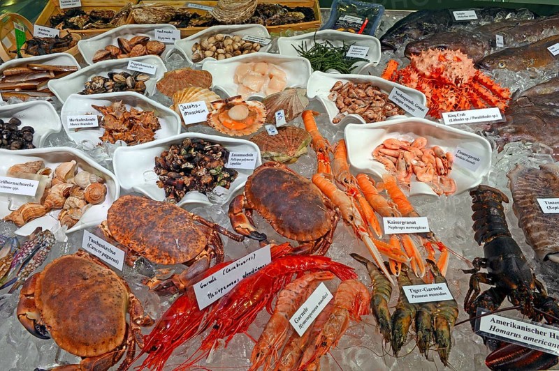 Various exotic seafood
