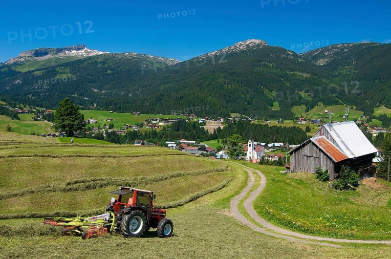 Hay harvest in Riezlern