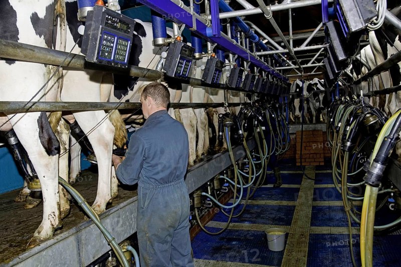 Dairy farming