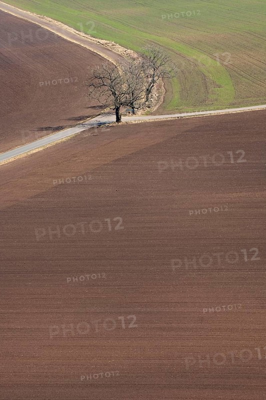 Farmland with cultivated fields and road