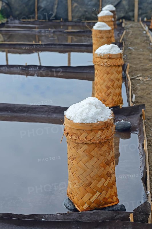 Sea salt harvested and packed for drying