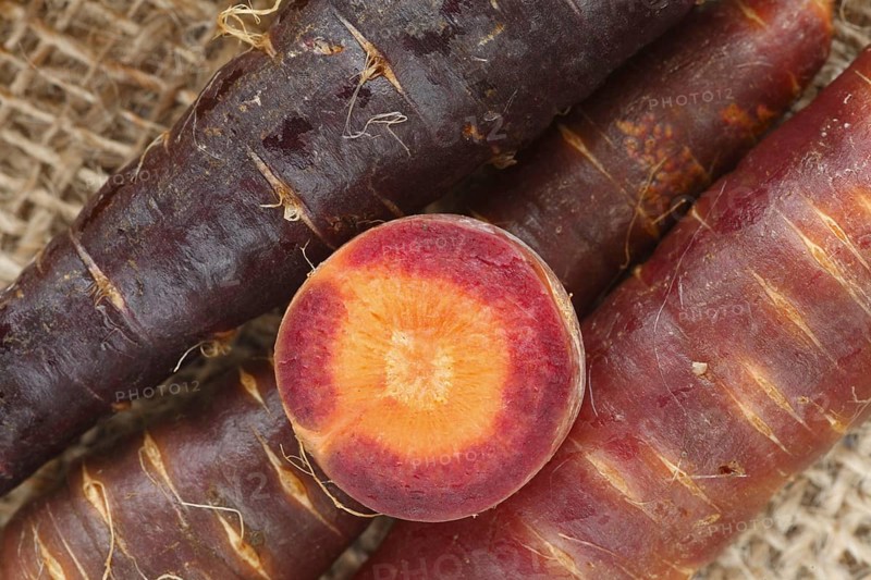 Carrot