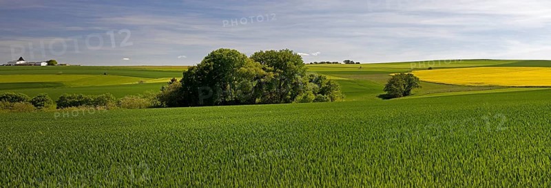 Cultural landscape in the Rhine-Lahn district