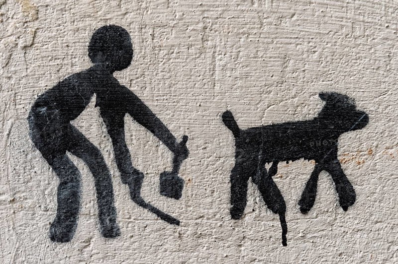 Warning sign No dog excrement on a wall