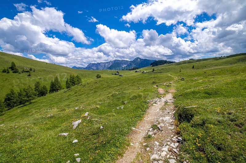 Postalm in the Salzkammergut