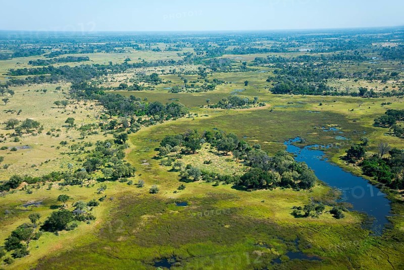 Okavango Delta