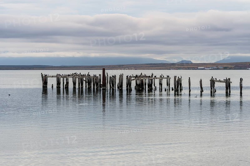 Wooden pillars