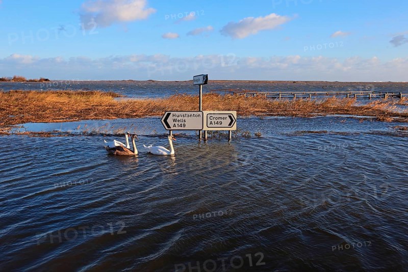 Flooded coastal road and coastal marsh after the surge