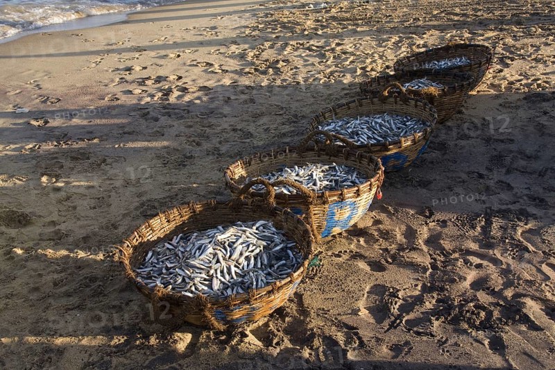 Fish baskets on Negombo beach