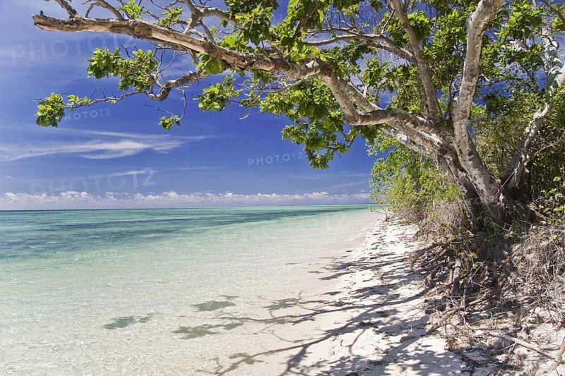 Tropical beach on small island at high tide