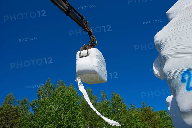 Plastic wrapped silage bales