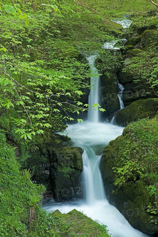 Waterfall and trees on the bank with fresh green leaves
