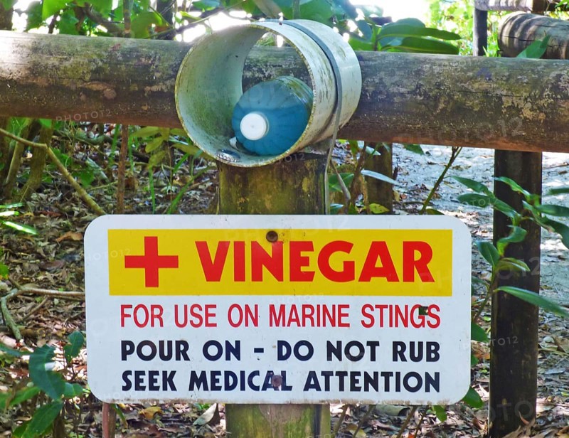 Vinegar for use on marine stings