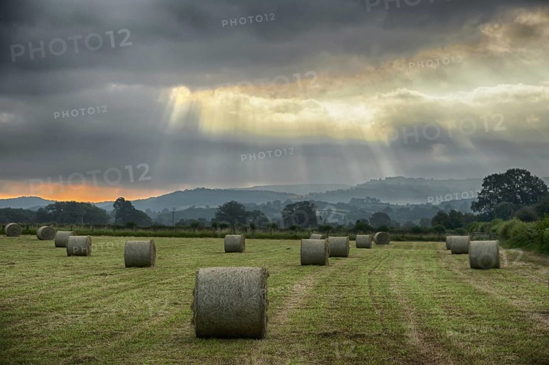 Round hay bales in a meadow with sunbeams