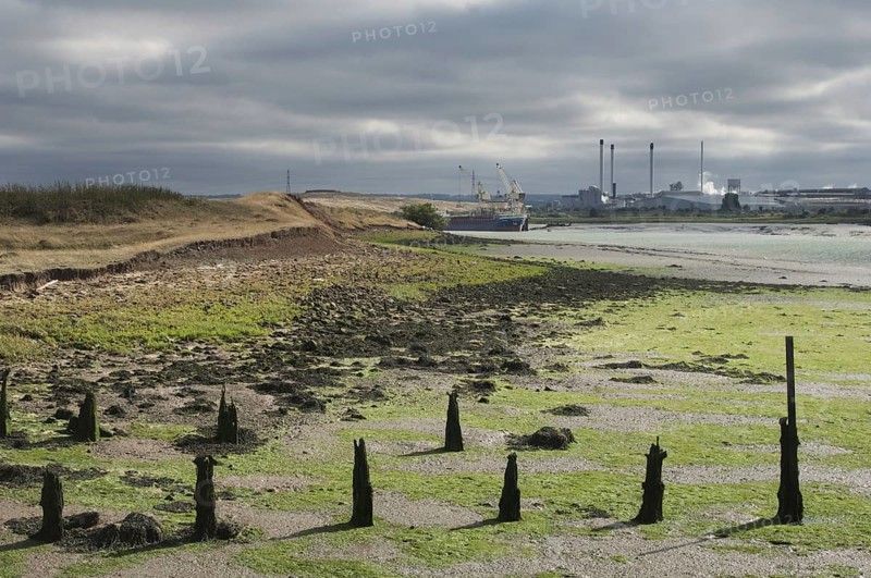 Estuary at low tide with mudflats and breakwaters