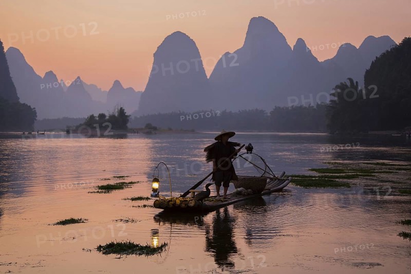 Traditional fisherman with trained cormorants standing on a bamboo raft at sunrise on a river in the karst area