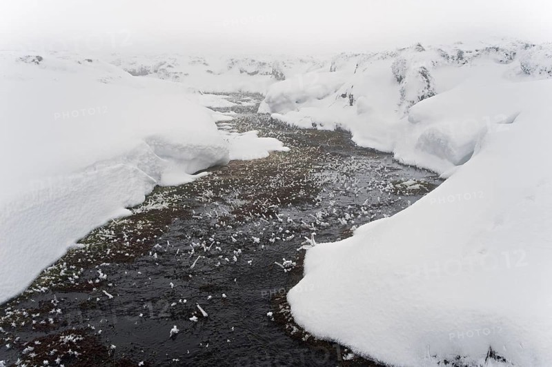 Moor Brook in the Snow
