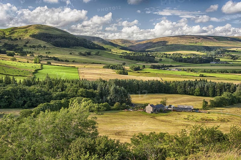 View of farmland and upland habitat