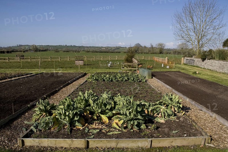 Raised vegetable beds. Early spring