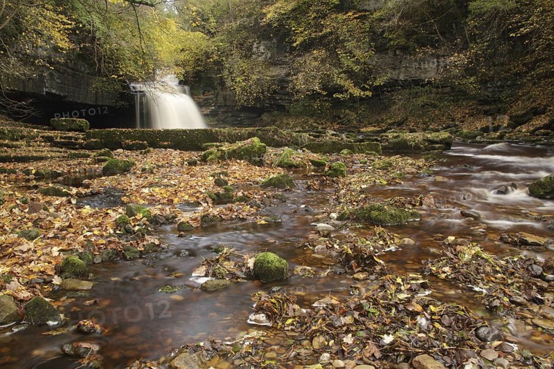 View of waterfall and autumn leaves