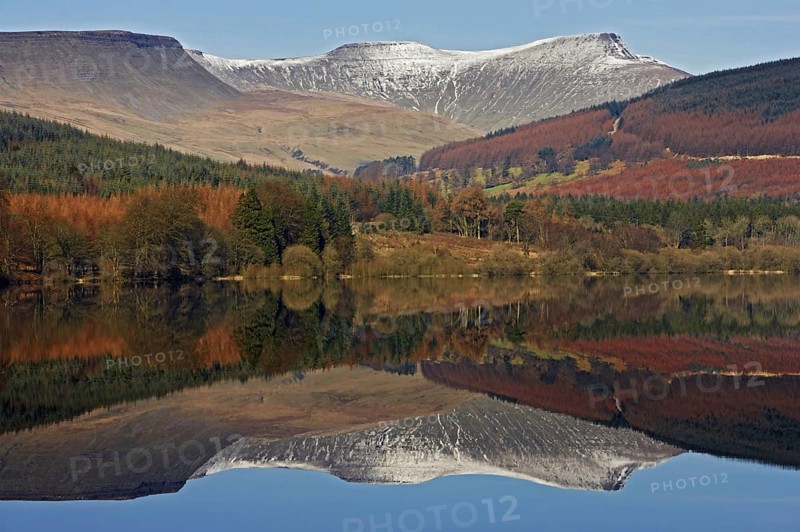 Trees and snow-capped hills reflected in the reservoir