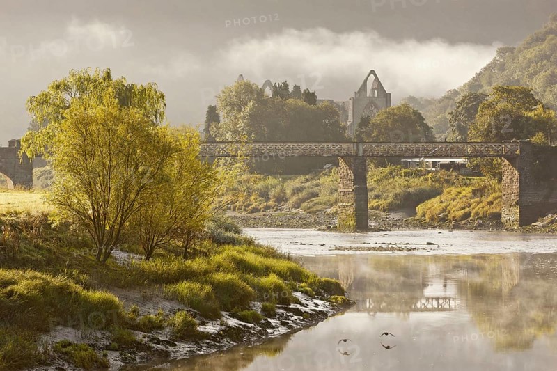 View of the river