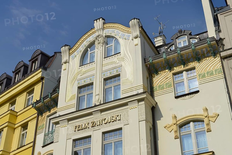 Art Nouveau House
