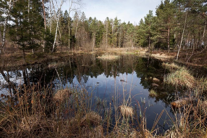 Moorland